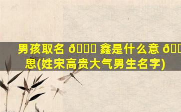 男孩取名 🐛 鑫是什么意 🐵 思(姓宋高贵大气男生名字)